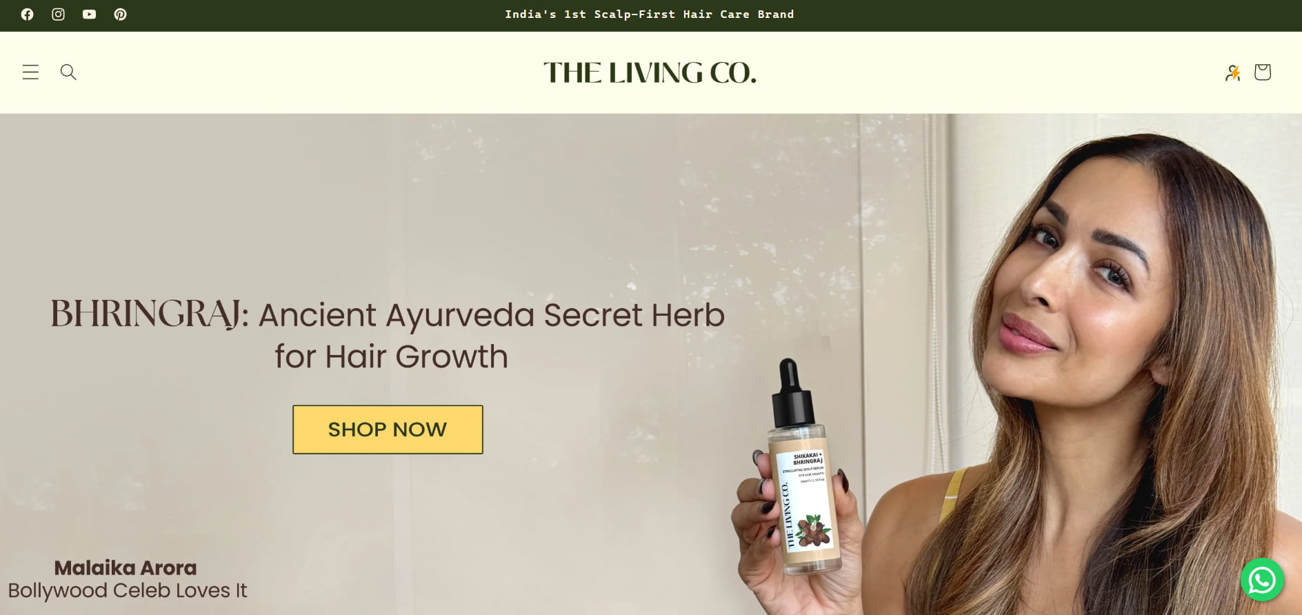 The Living Co